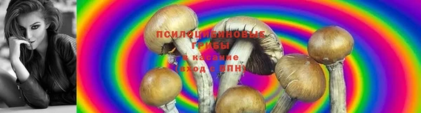 MESCALINE Алзамай