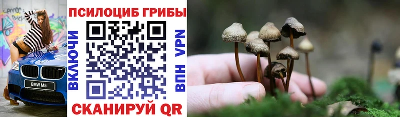 купить закладку  Дудинка  Псилоцибиновые грибы MAGIC MUSHROOMS 